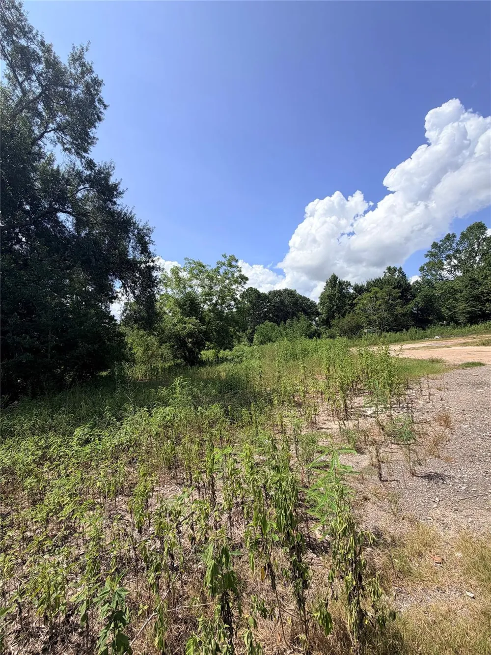 420 E Semands Street Conroe, TX 77301