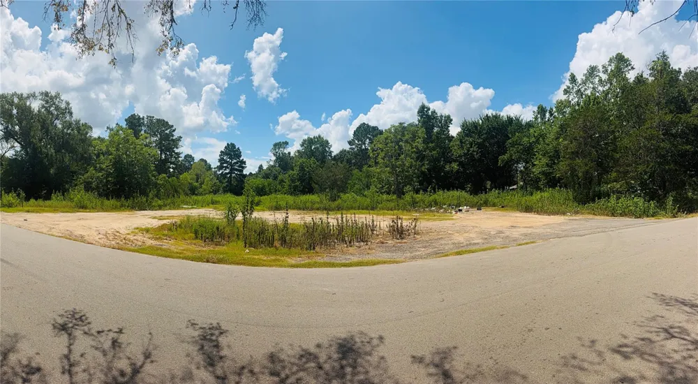 420 E Semands Street Conroe, TX 77301
