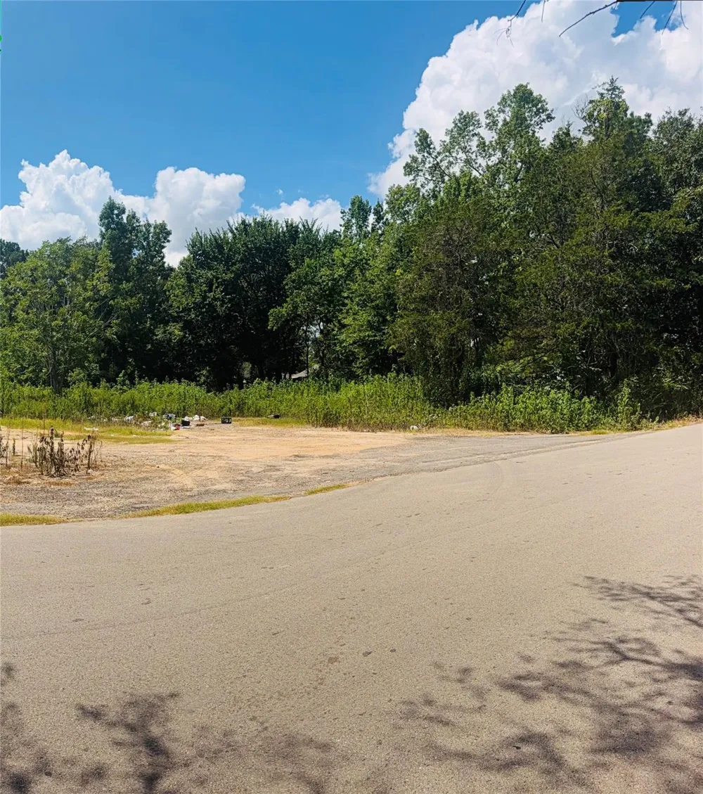 420 E Semands Street Conroe, TX 77301