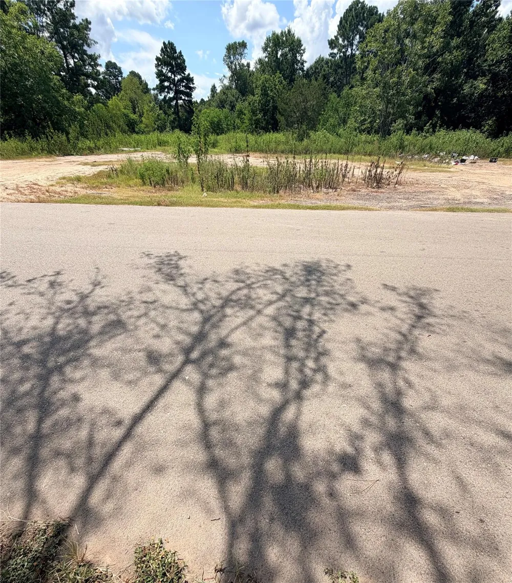 420 E Semands Street Conroe, TX 77301