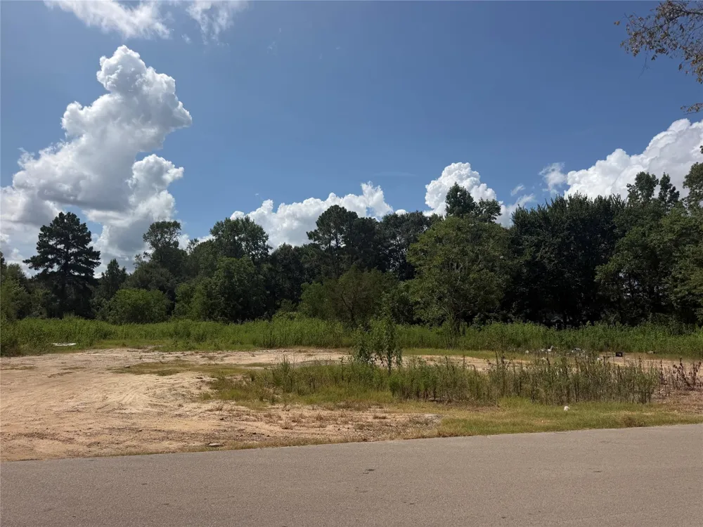 420 E Semands Street Conroe, TX 77301