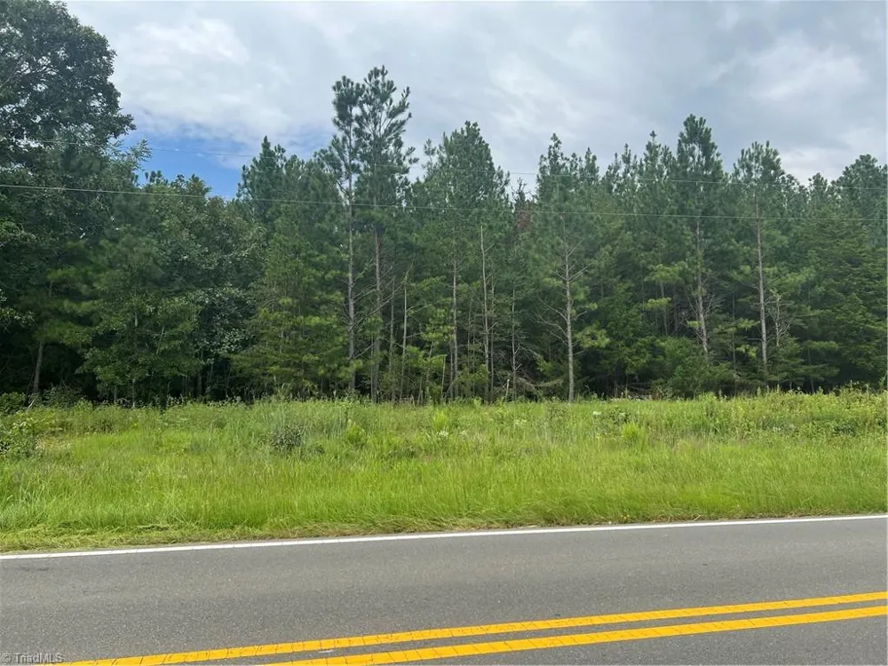 0 NC Highway 49 Mebane, NC 27302