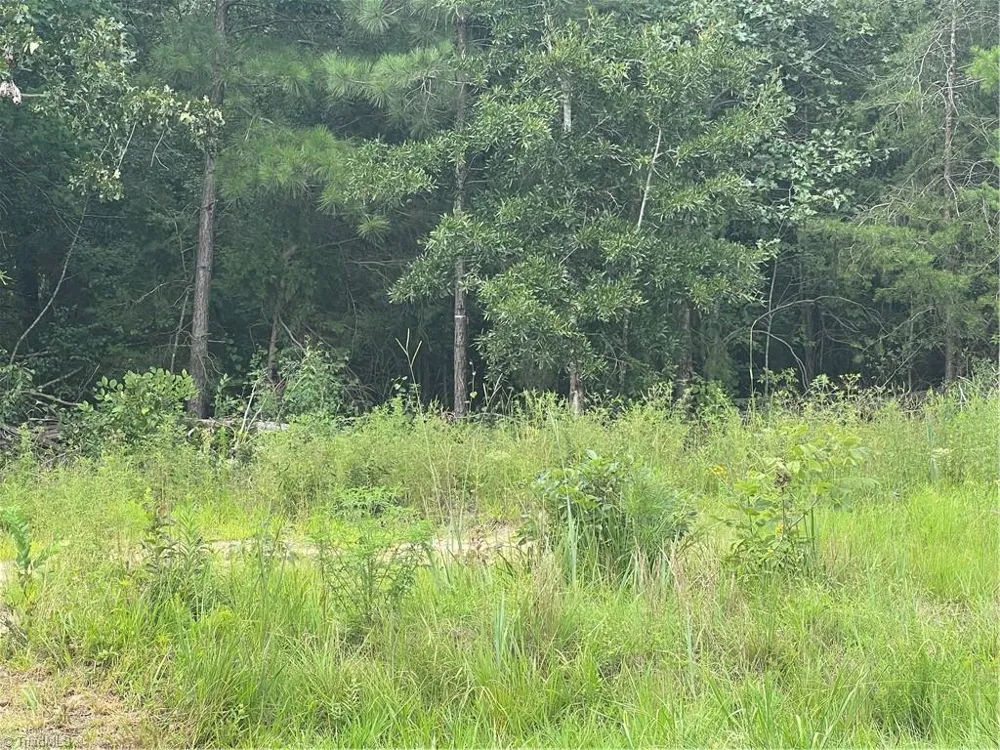 0 NC Highway 49 Mebane, NC 27302