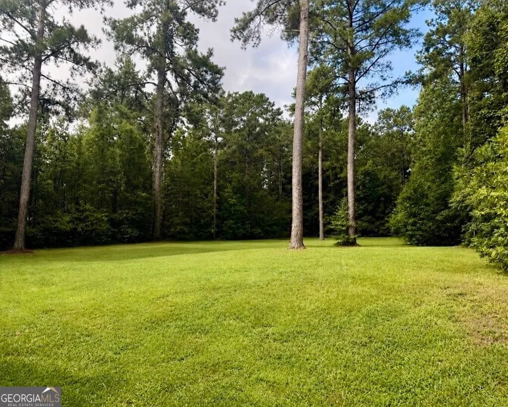 60 Garden Grove DR Waverly Hall, GA 31831