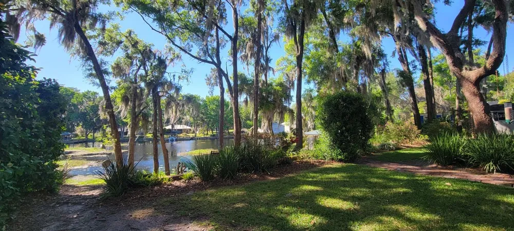 436 SE 4TH AVENUE Melrose, FL 32666
