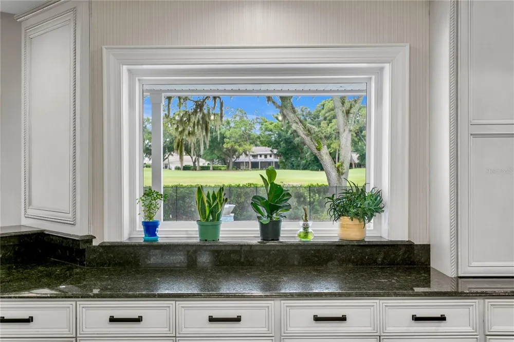 16601 AVILA BOULEVARD Tampa, FL 33613