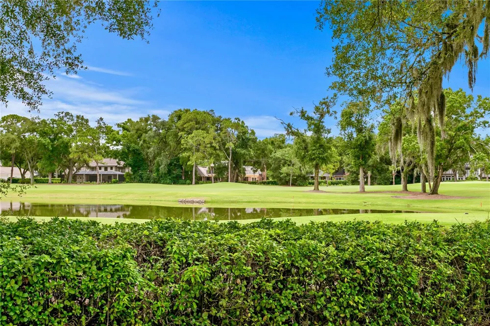16601 AVILA BOULEVARD Tampa, FL 33613