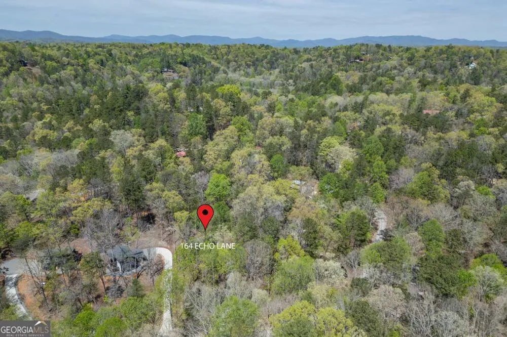 164 Echo LN Ellijay, GA 30540