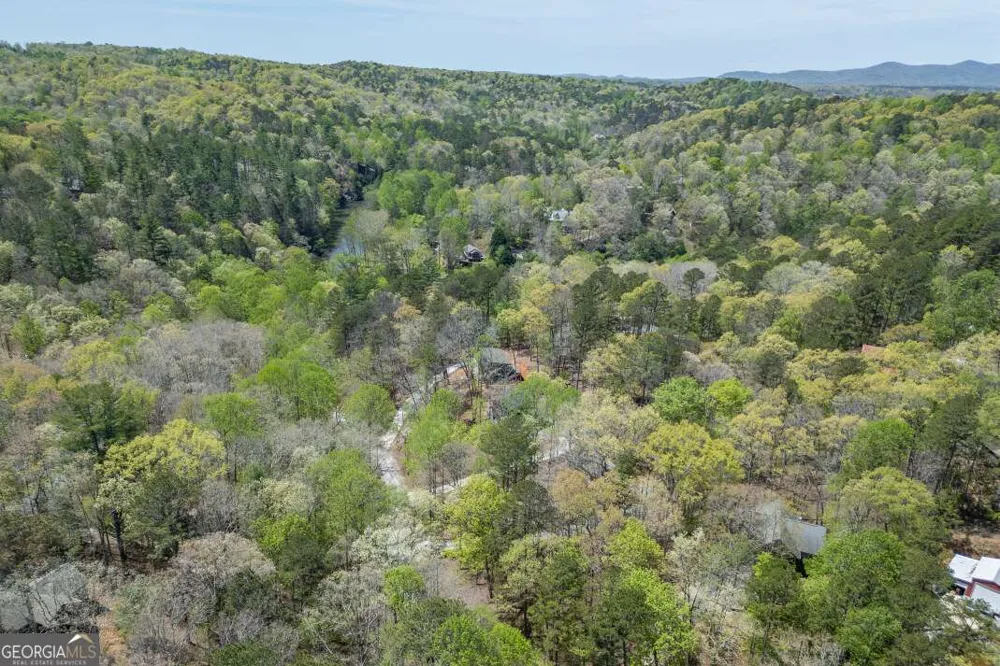 164 Echo LN Ellijay, GA 30540
