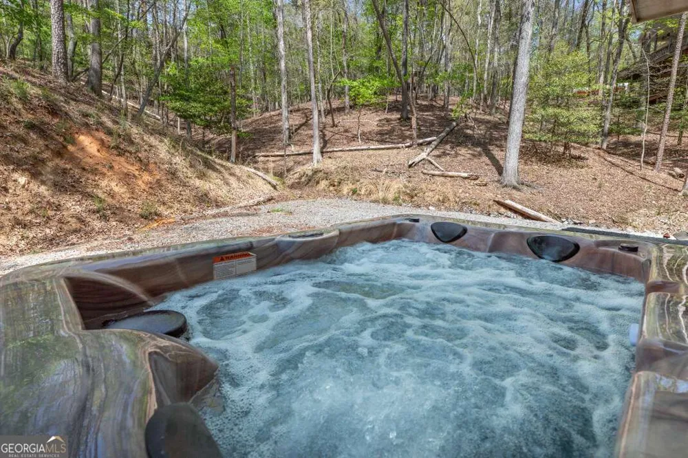 164 Echo LN Ellijay, GA 30540