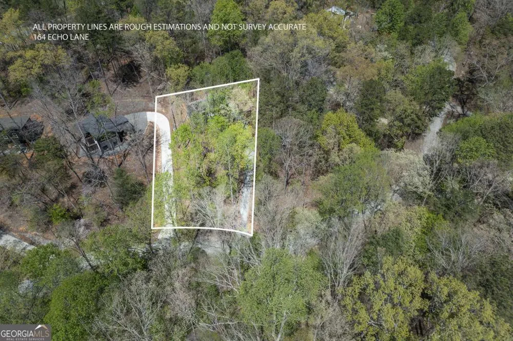 164 Echo LN Ellijay, GA 30540