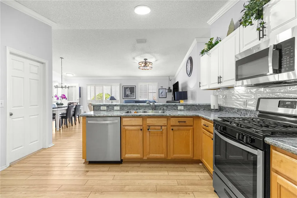 1660 ORR TERRACE The Villages, FL 32162