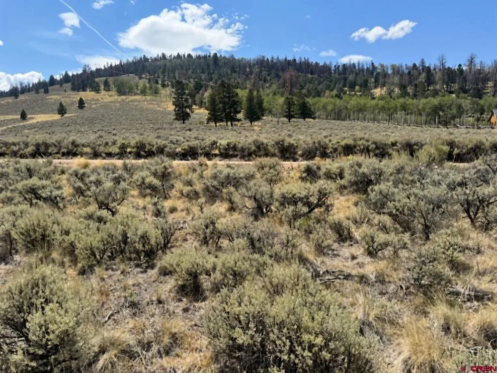 892 Uncompahgre Drive Powderhorn, CO 81243