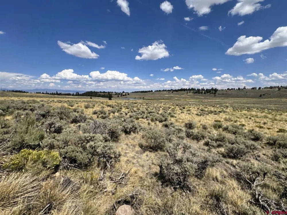 892 Uncompahgre Drive Powderhorn, CO 81243
