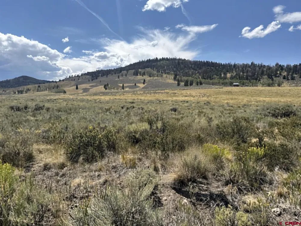100 Monarch Road Powderhorn, CO 81243