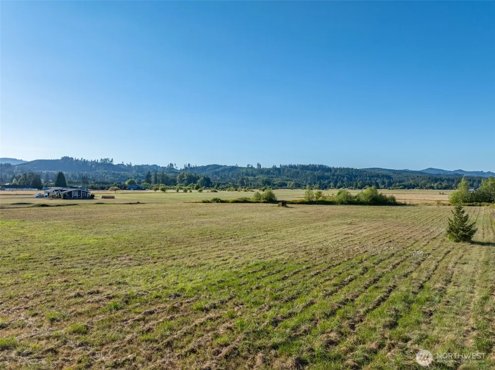 785 Pe Ell McDonald Road Pe Ell, WA 98572