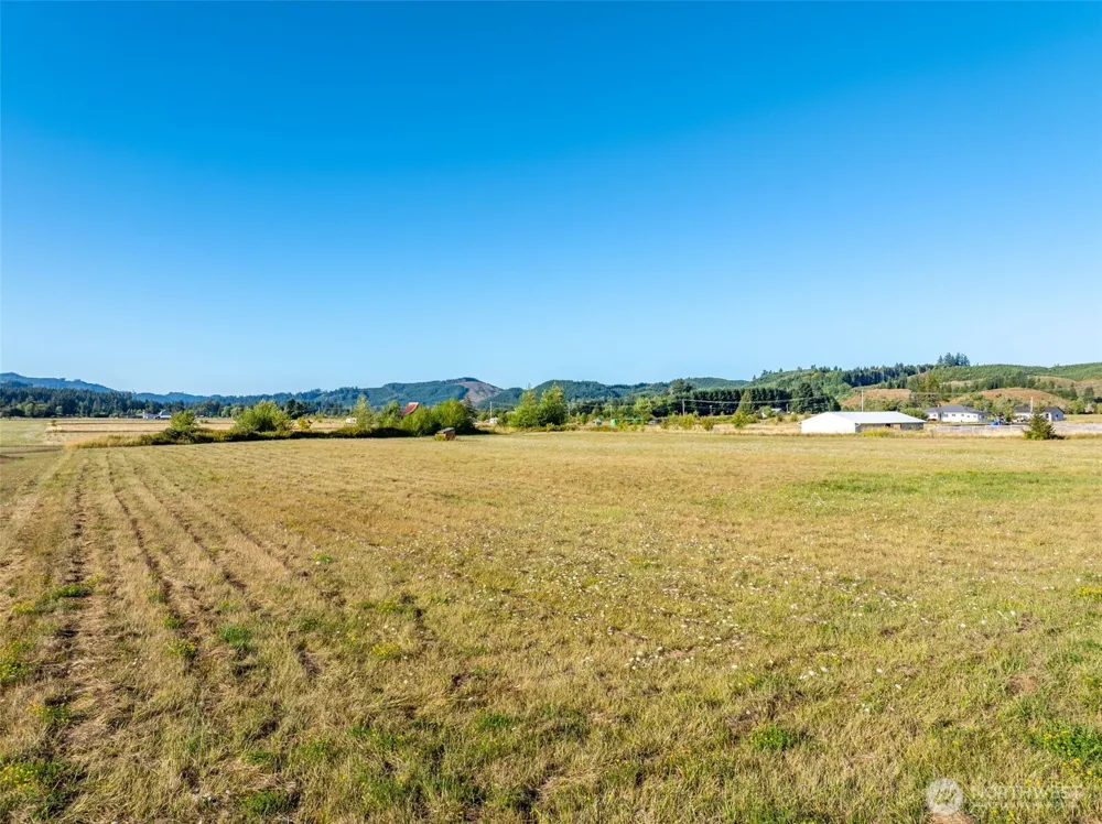 785 Pe Ell McDonald Road Pe Ell, WA 98572