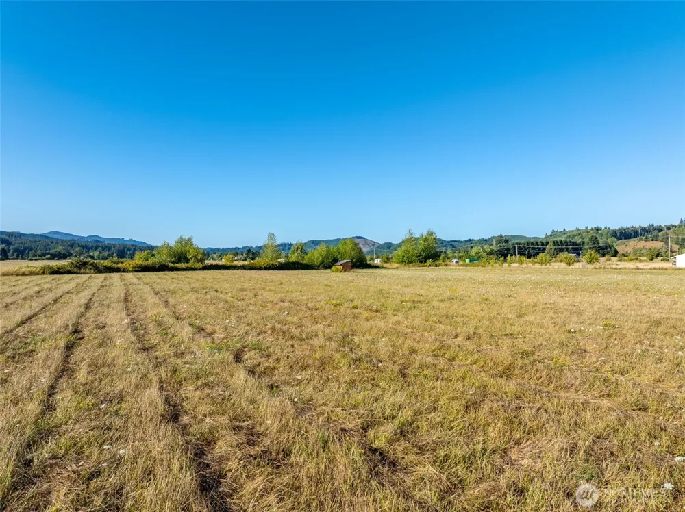 785 Pe Ell McDonald Road Pe Ell, WA 98572