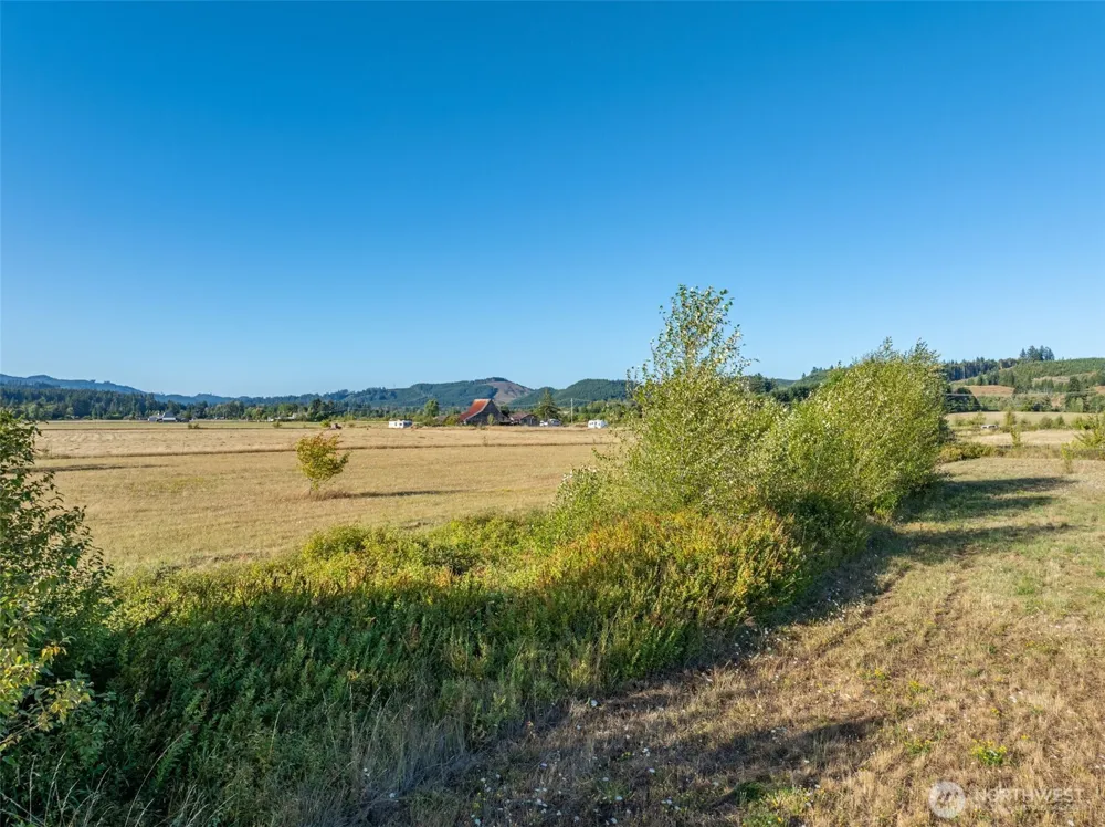785 Pe Ell McDonald Road Pe Ell, WA 98572