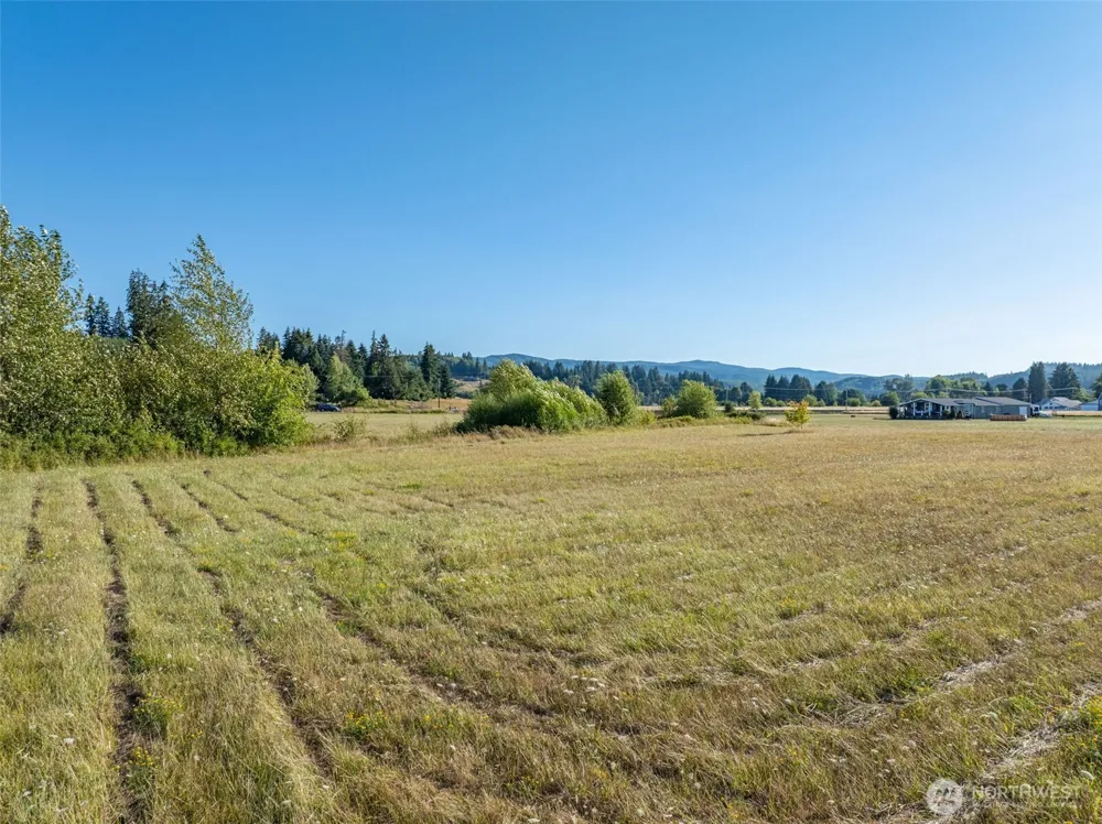 785 Pe Ell McDonald Road Pe Ell, WA 98572