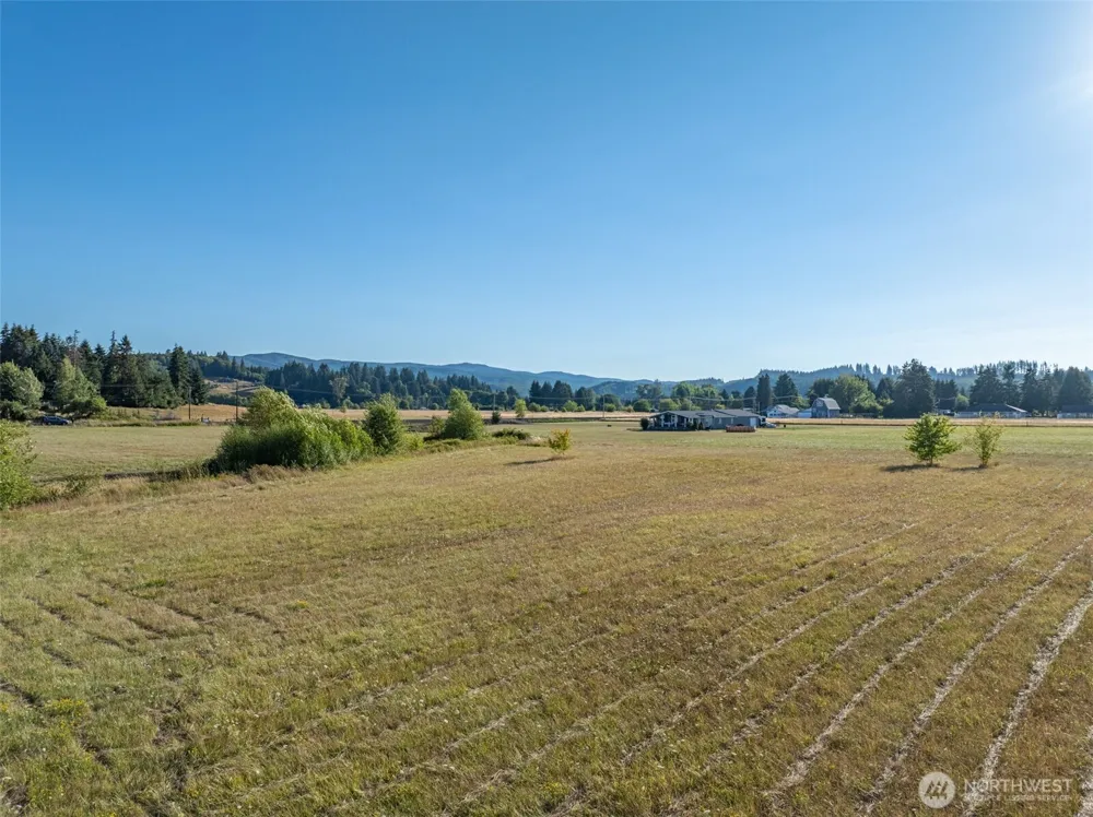 785 Pe Ell McDonald Road Pe Ell, WA 98572