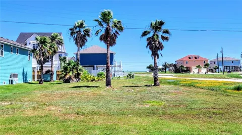 1232 S Live Oak Street