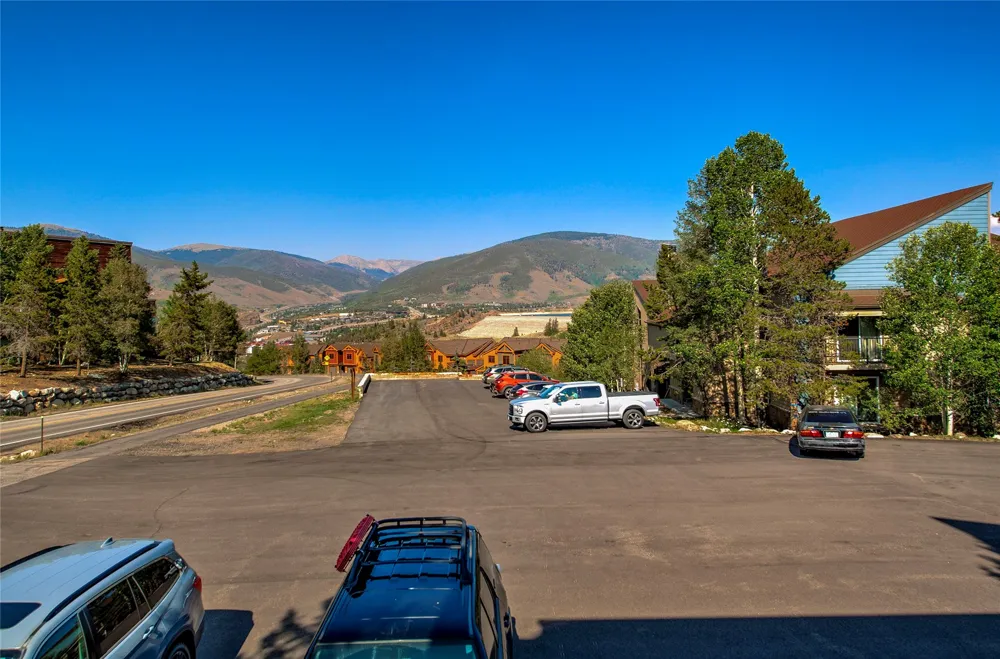 3411 Ryan Gulch Road #3411 Silverthorne, CO 80498