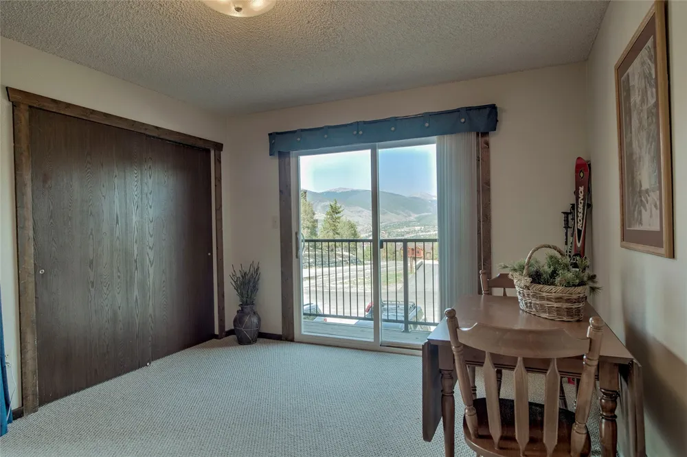 3411 Ryan Gulch Road #3411 Silverthorne, CO 80498