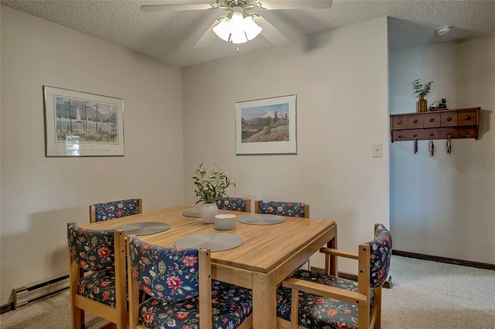 3411 Ryan Gulch Road #3411 Silverthorne, CO 80498