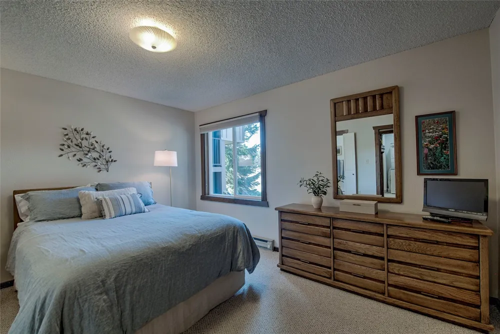 3411 Ryan Gulch Road #3411 Silverthorne, CO 80498