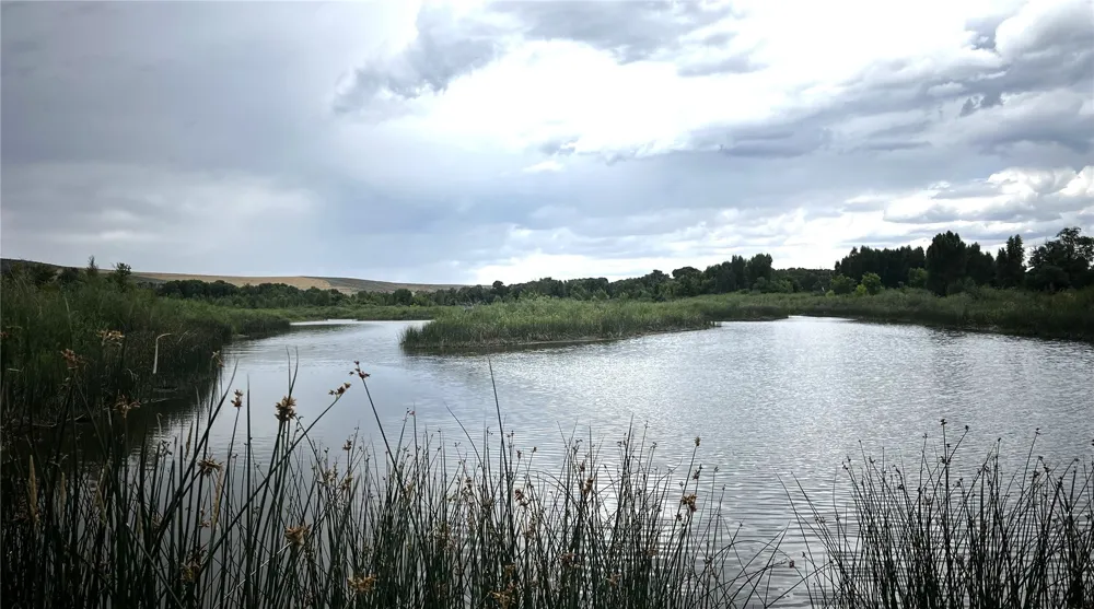 2705 Highway 40 Hayden, CO 81639