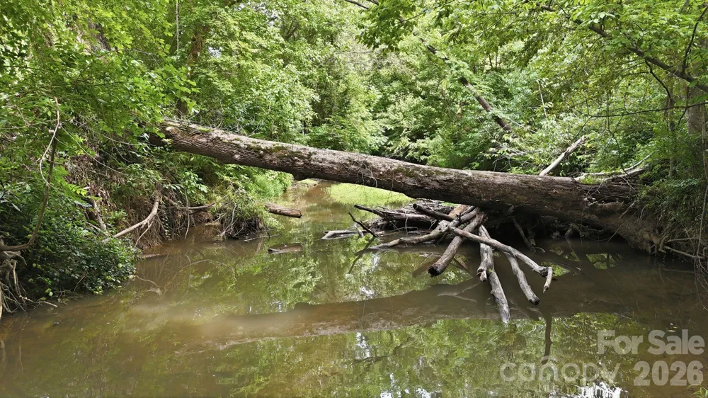 4650 Forest View Road Blacksburg, SC 29702