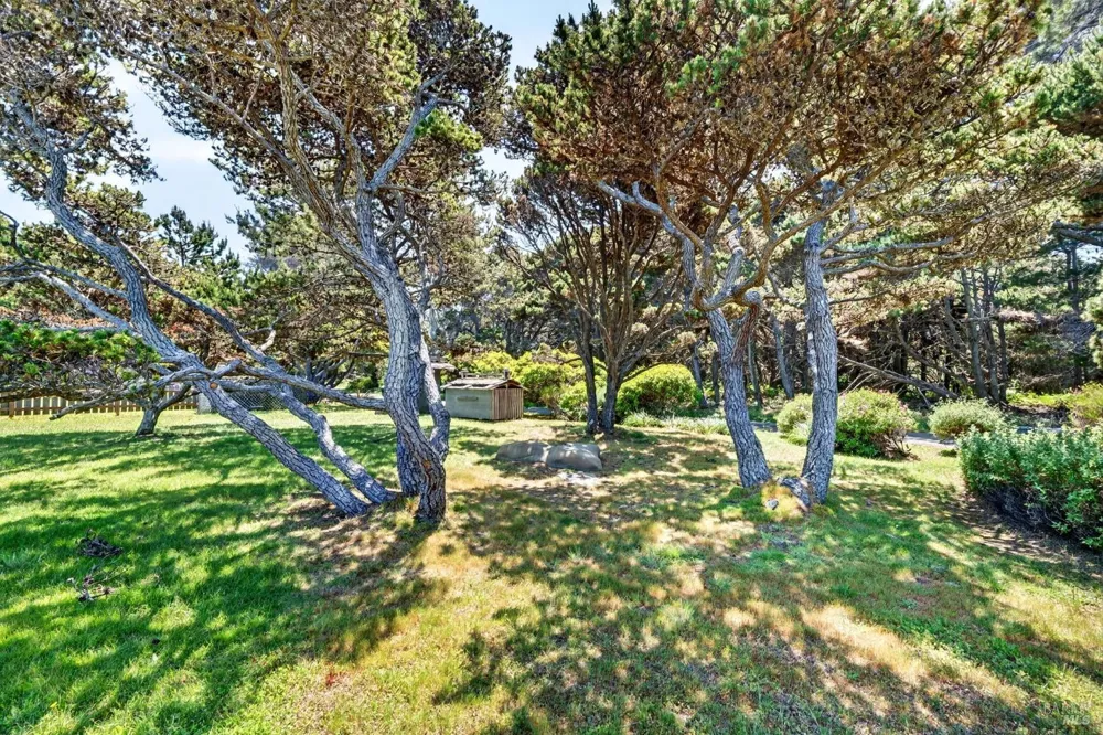 16861 Ocean Drive Fort Bragg, CA 95437