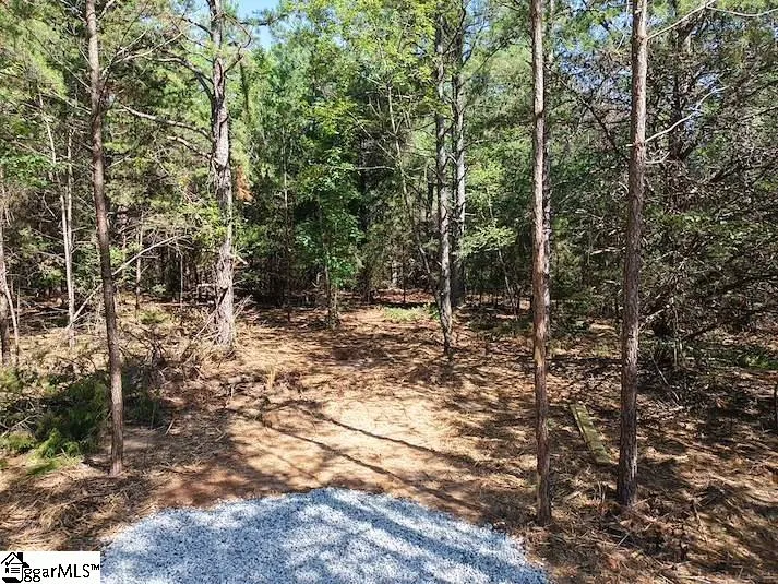 02 Owens Drive Laurens, SC 29360