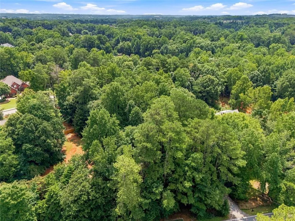 13405 Cogburn Road Milton, GA 30004