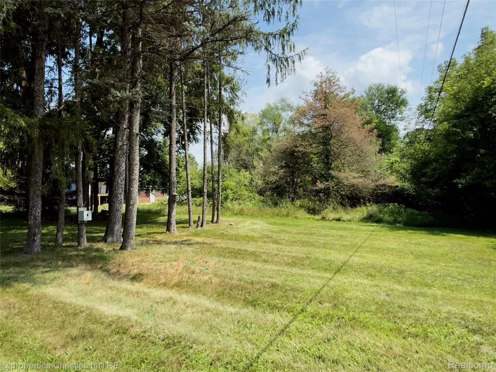 11705 Larkins Road Brighton Township, MI 48114