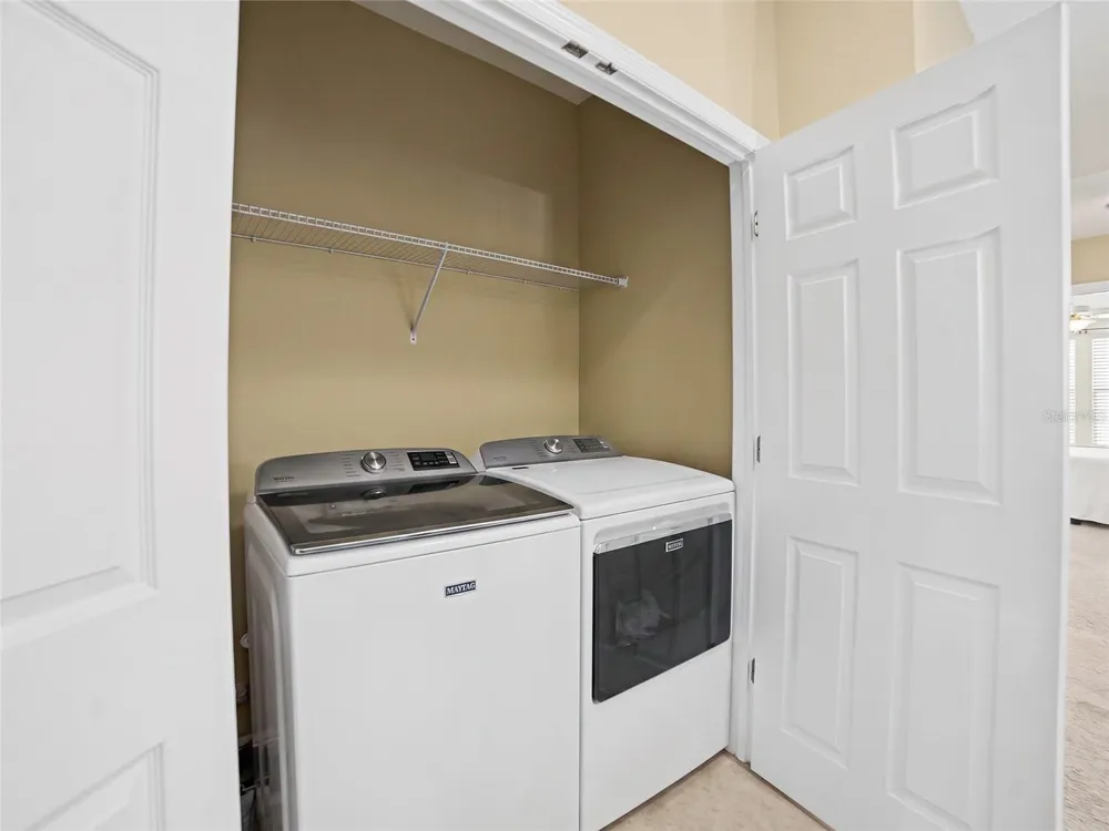1985 LAKE WATERS PLACE Lutz, FL 33558