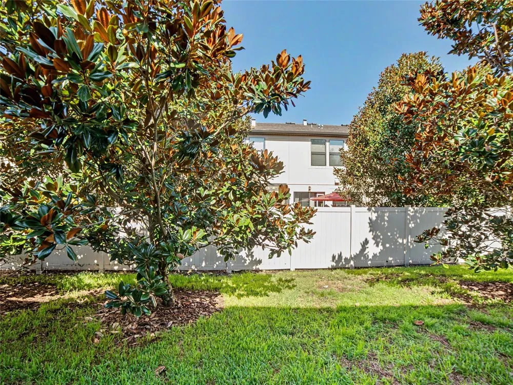 1985 LAKE WATERS PLACE Lutz, FL 33558