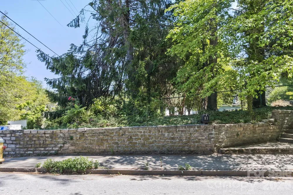 87 Hillside Street Asheville, NC 28801
