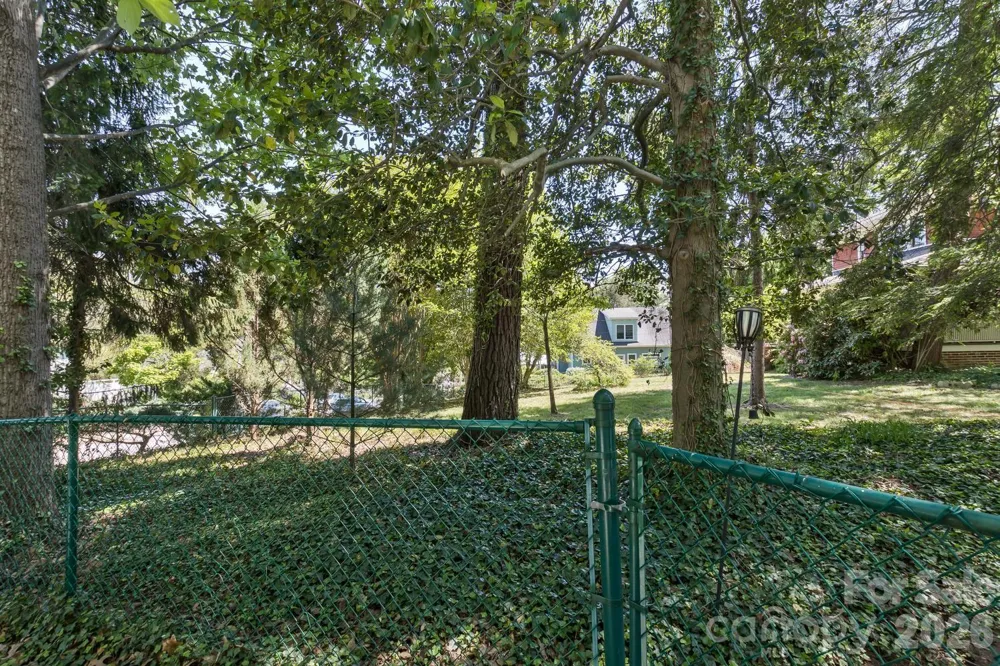87 Hillside Street Asheville, NC 28801