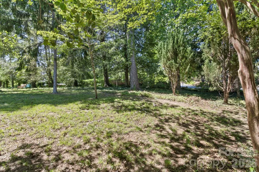 87 Hillside Street Asheville, NC 28801