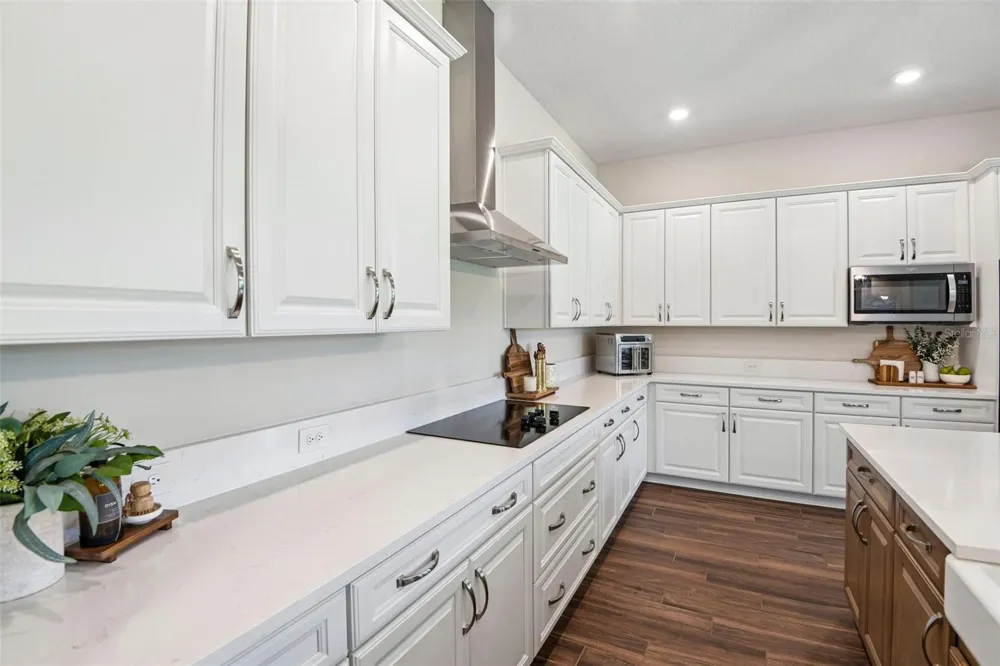 7510 ASHBROOKE PINE LOOP Odessa, FL 33556