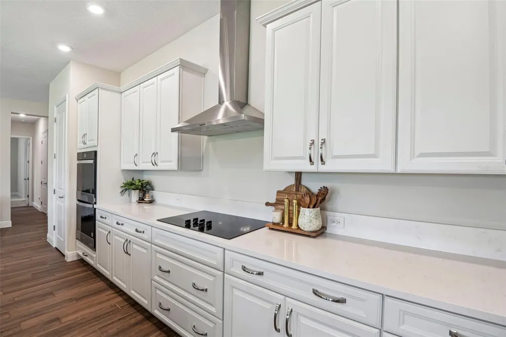 7510 ASHBROOKE PINE LOOP Odessa, FL 33556