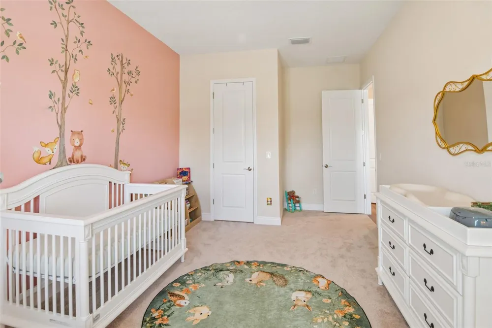 7510 ASHBROOKE PINE LOOP Odessa, FL 33556