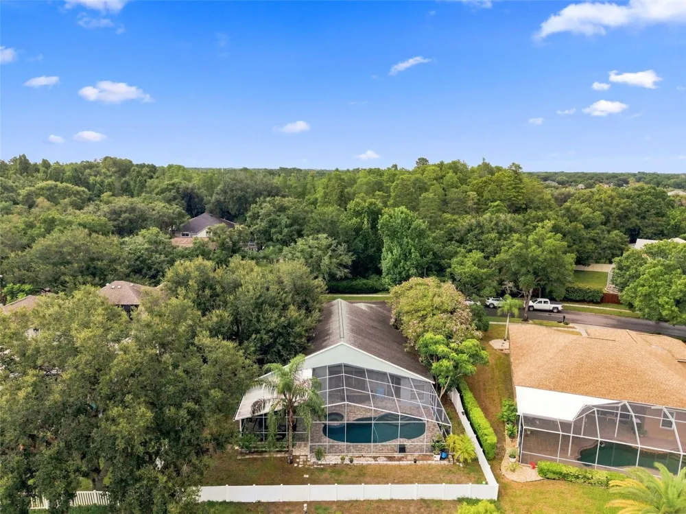 9115 BRINDLEWOOD DRIVE Odessa, FL 33556
