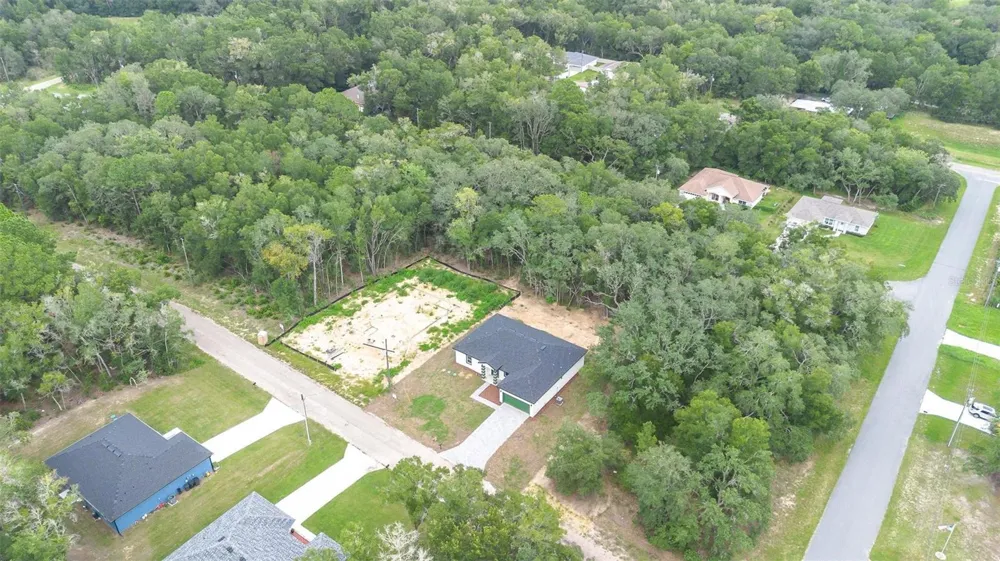 10615 DIDISCUS DRIVE Citrus Springs, FL 34434