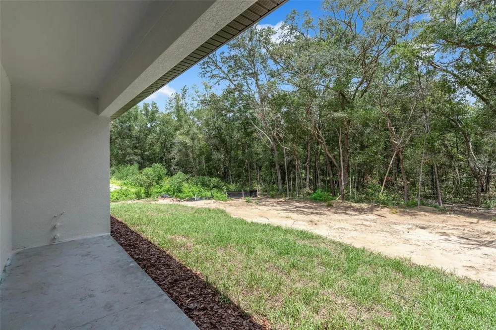 10615 DIDISCUS DRIVE Citrus Springs, FL 34434