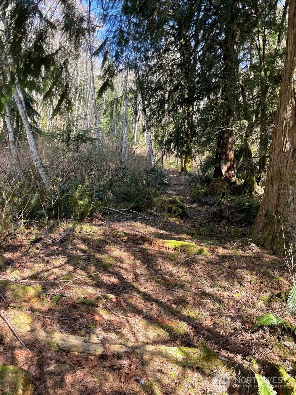 Address Not Shown Arlington, WA 98223