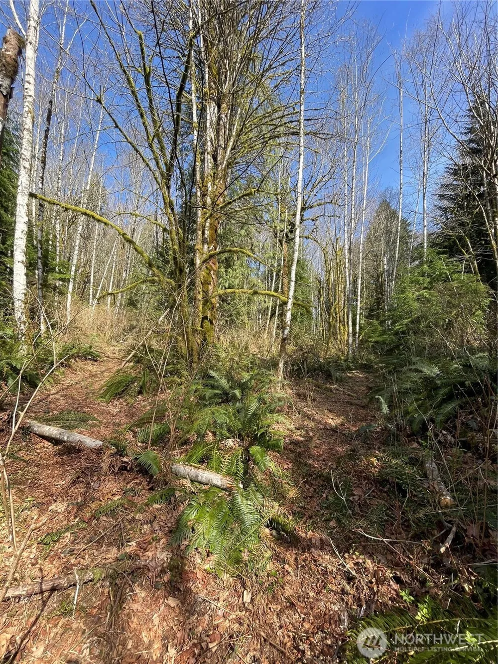 Address Not Shown Arlington, WA 98223