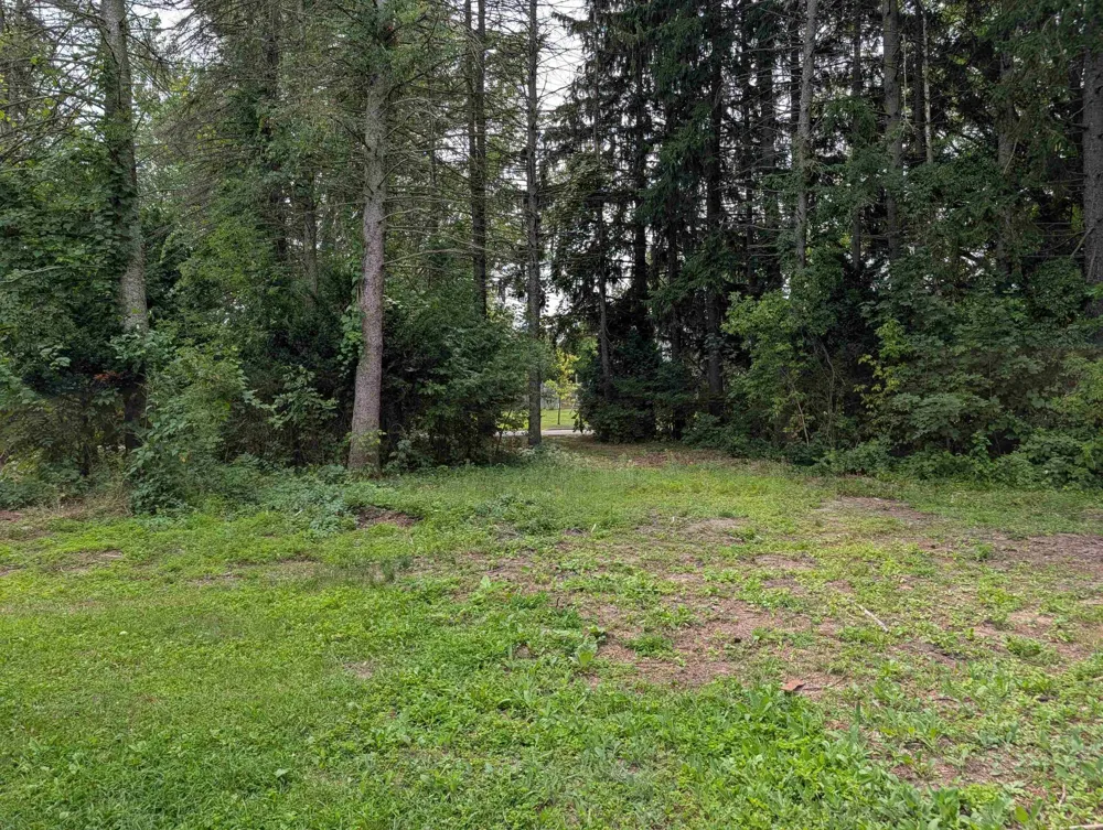 229 Water Street Au Gres Township, MI 48703